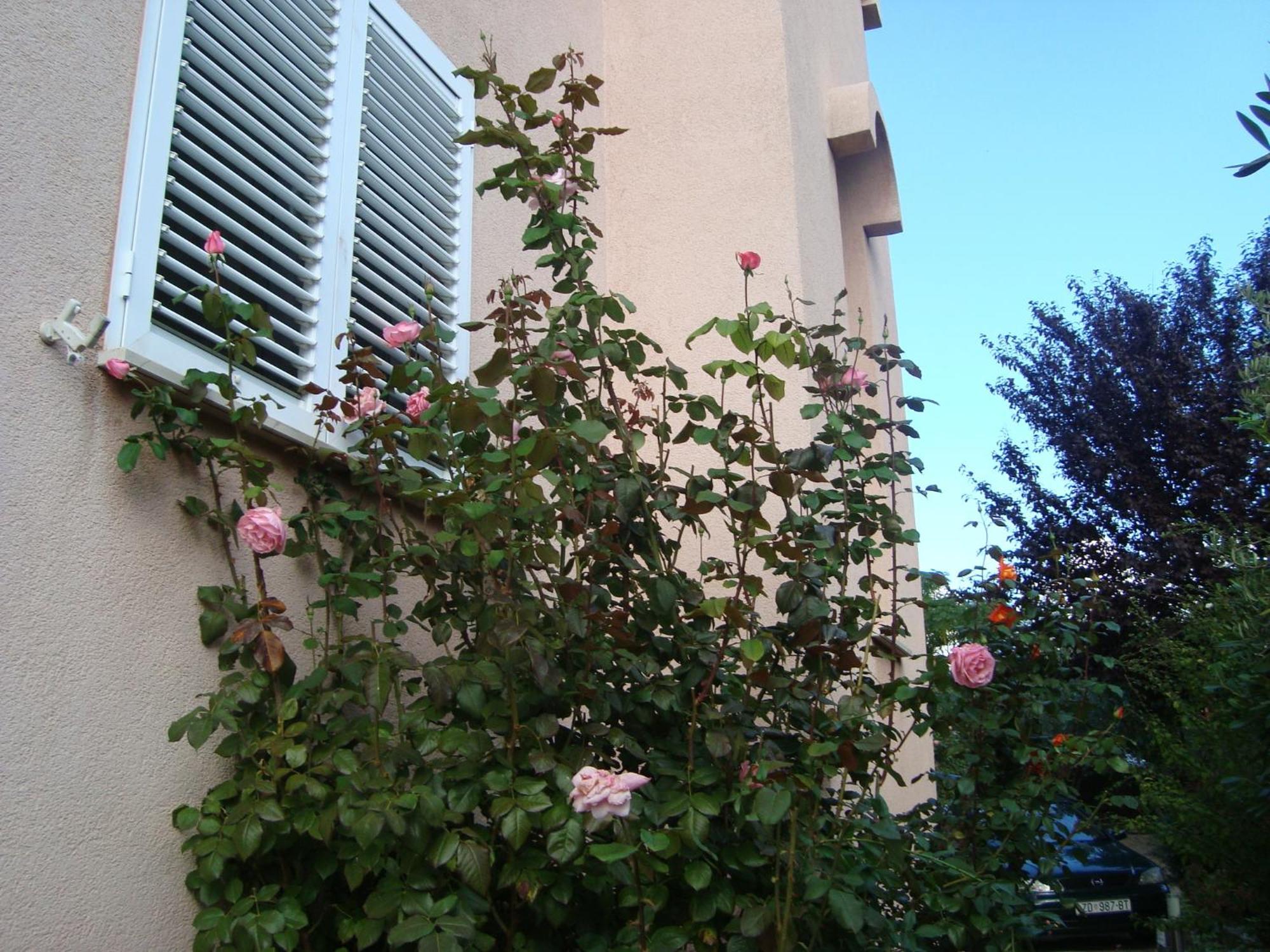 Apartments Eja Zadar Exterior foto
