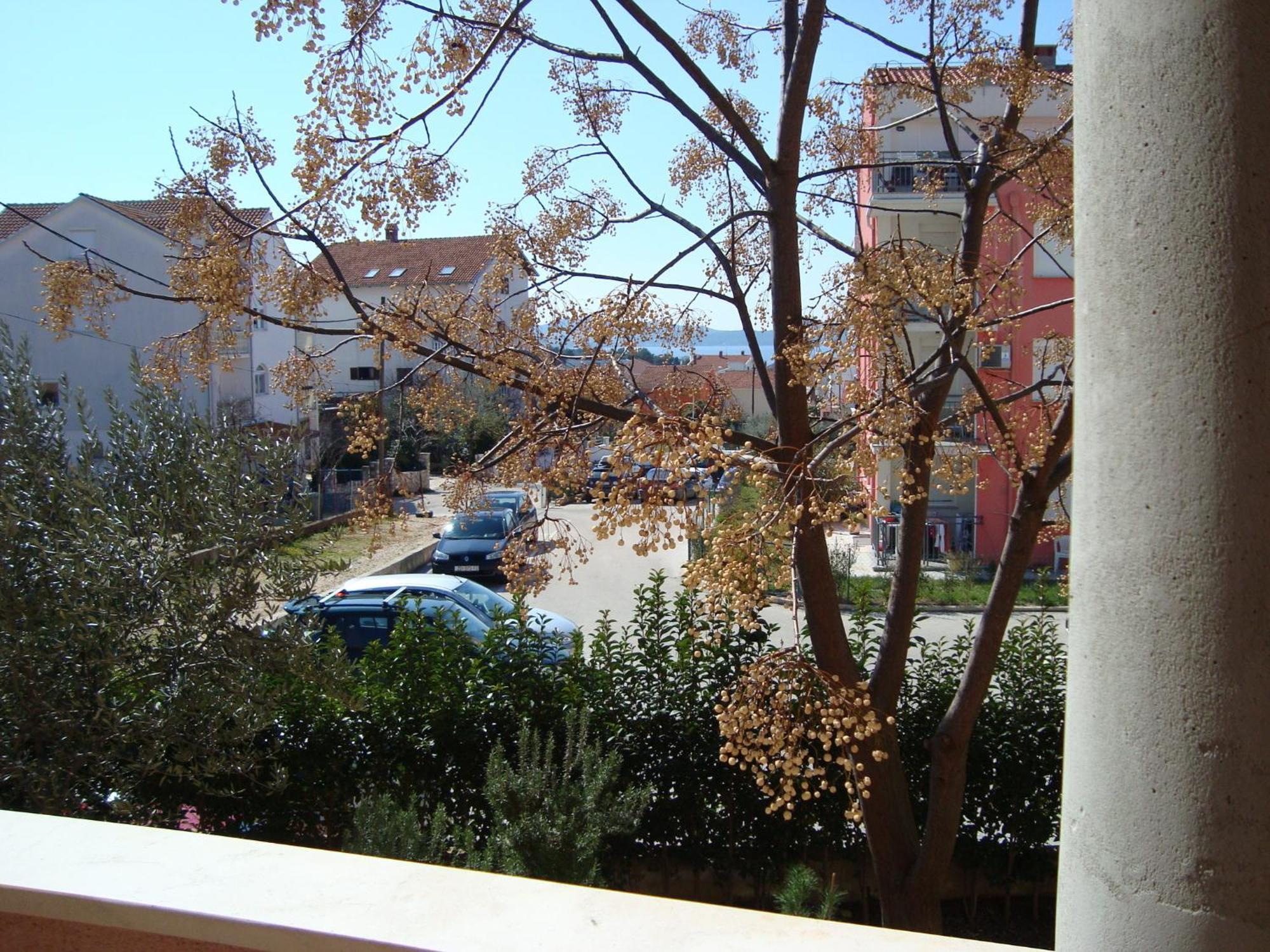 Apartments Eja Zadar Exterior foto